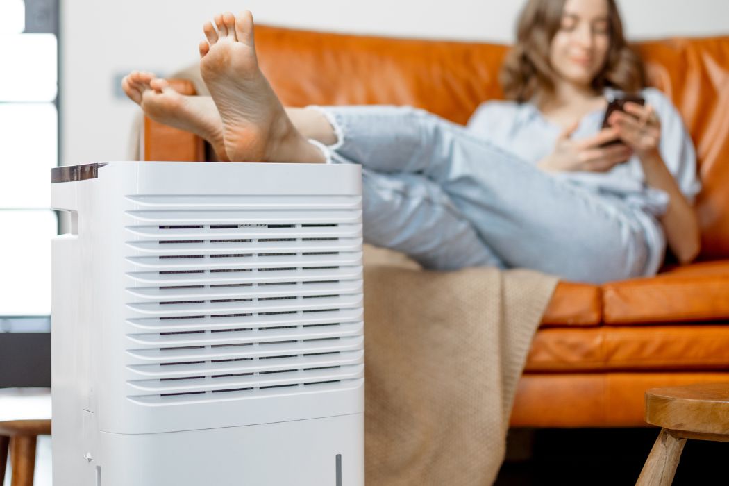 Jak wybrać najlepszy oczyszczacz powietrza dla domu